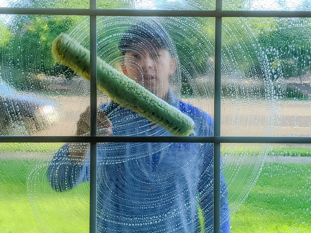 DSS Ryan SCurve Clean Windows