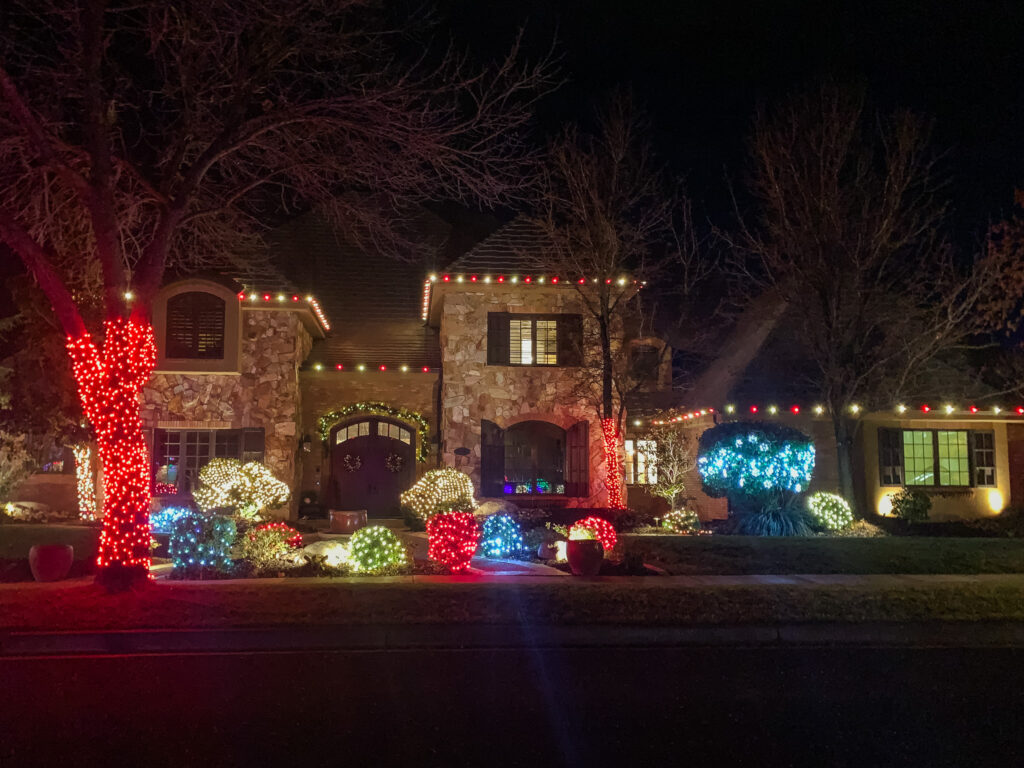 DSS Christmas Light Install with Bush Lights