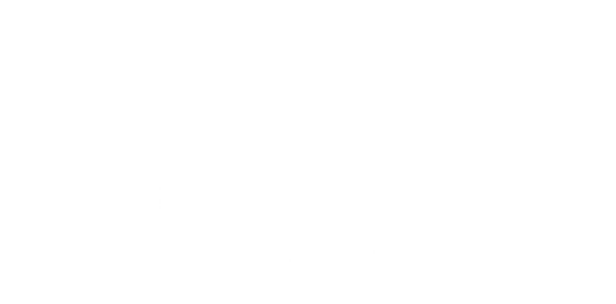 Dynamic Superior Services (DSS) is a home service company in St. George Utah